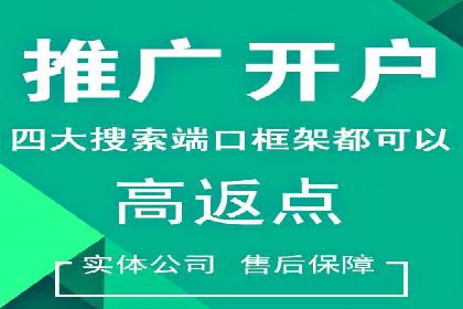 SEM公司案例解析：搜索引擎营销策略与执行